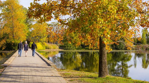 Crowne Plaza Canberra - Phillip Island Accommodation 17