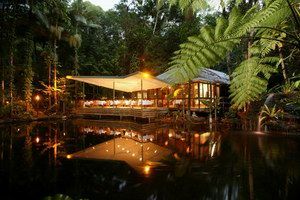 Daintree Eco Lodge & Spa - Phillip Island Accommodation 2
