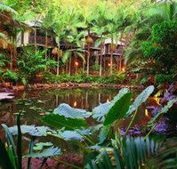 Daintree Eco Lodge  Spa - Phillip Island Accommodation