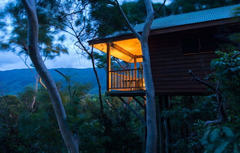 Thala Beach Nature Reserve - Phillip Island Accommodation 0