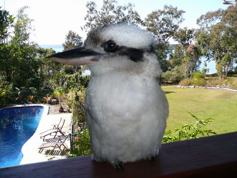 Yarrandabbi Dreaming Boutique B&B - Phillip Island Accommodation 2