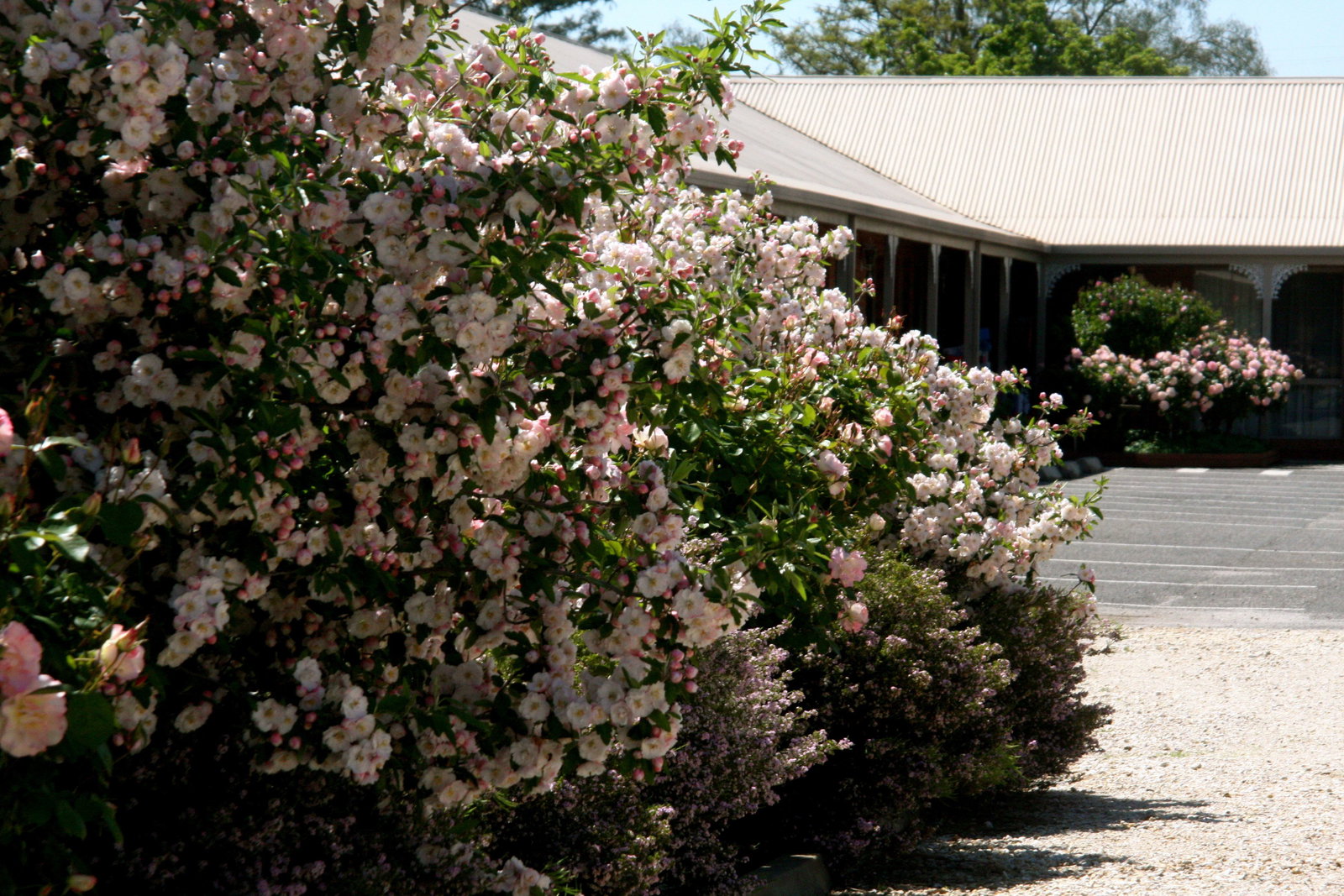 Boorhaman North VIC Phillip Island Accommodation