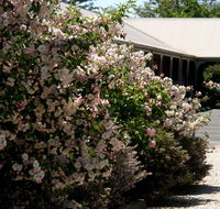 Wine Village Motor Inn - Phillip Island Accommodation