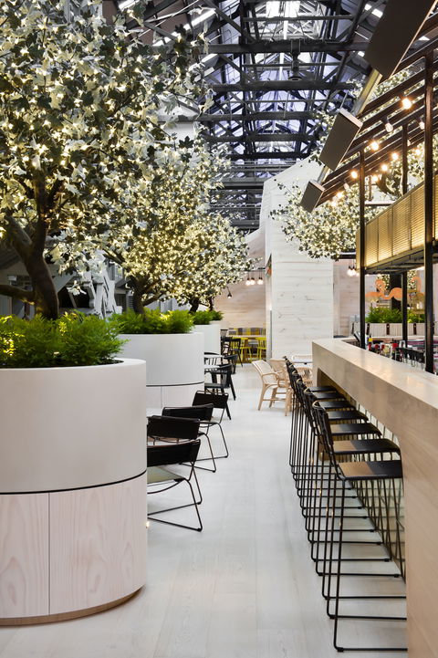 Ovolo Woolloomooloo - Phillip Island Accommodation 0