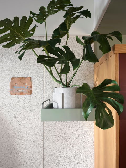 ACE Hotel Sydney - Phillip Island Accommodation 0