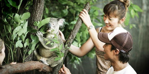 Pullman Reef Hotel Casino - Phillip Island Accommodation 14