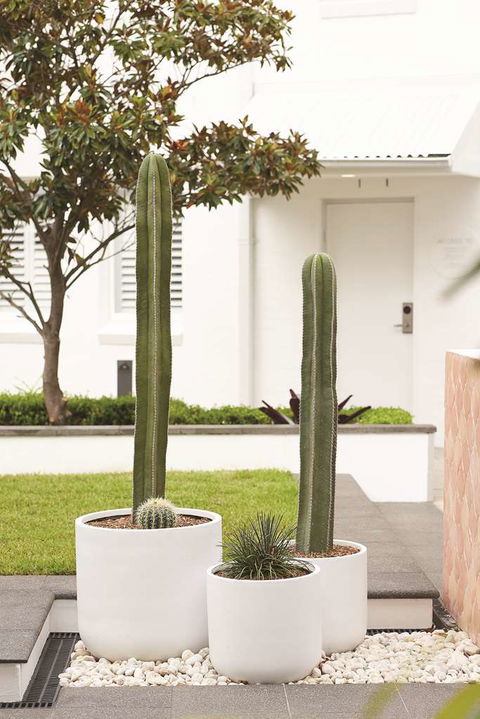 Adina Apartment Hotel Chippendale - Phillip Island Accommodation 0