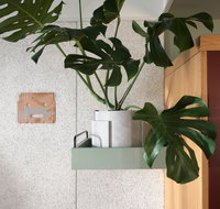 ACE Hotel Sydney - Phillip Island Accommodation
