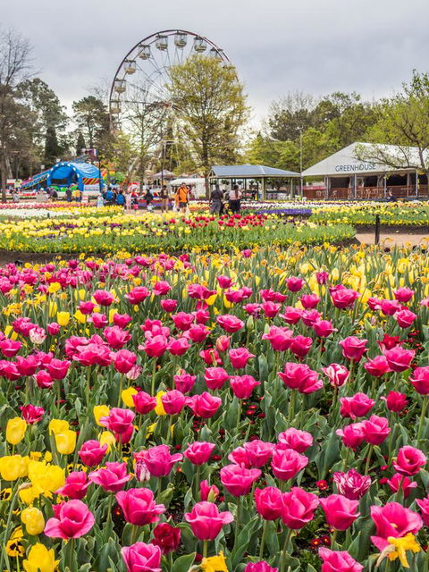 ALLARA CANBERRA - Phillip Island Accommodation 15