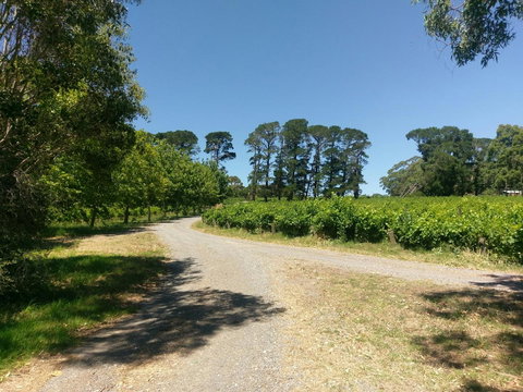 Lost In The Vines - Phillip Island Accommodation 28