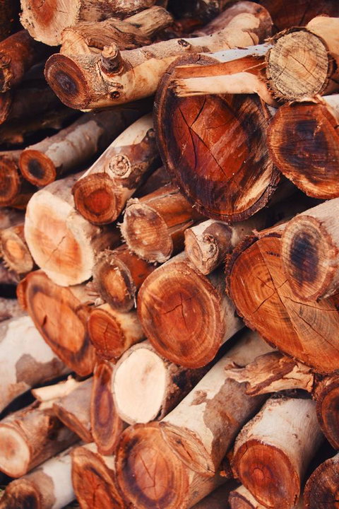 Lost In The Vines - Phillip Island Accommodation 20