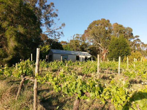 Lost In The Vines - Phillip Island Accommodation 25