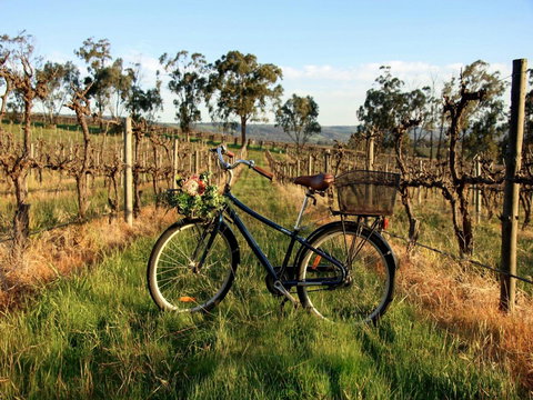 Lost In The Vines - Phillip Island Accommodation 17