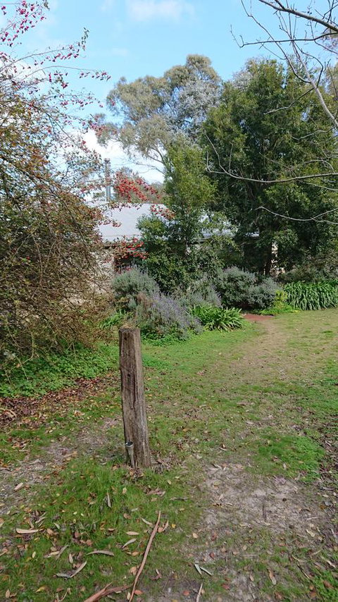 Lost In The Vines - Phillip Island Accommodation 21