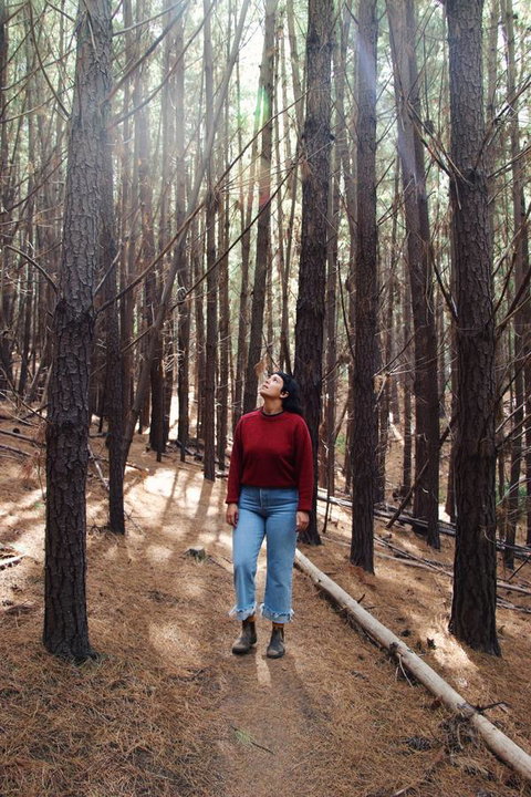 Lost In The Vines - Phillip Island Accommodation 19