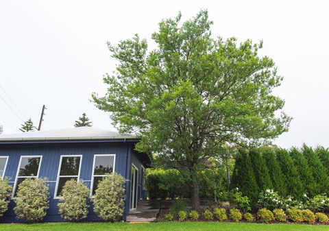 S T U D I O 22 Peaceful Retreat With Garden Views - Phillip Island Accommodation 11