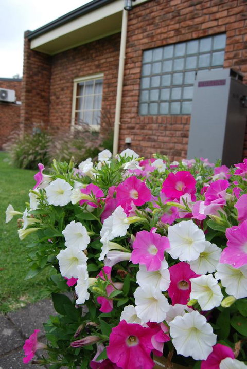 Arkana Motor Inn & Terrace Apartments - Phillip Island Accommodation 40