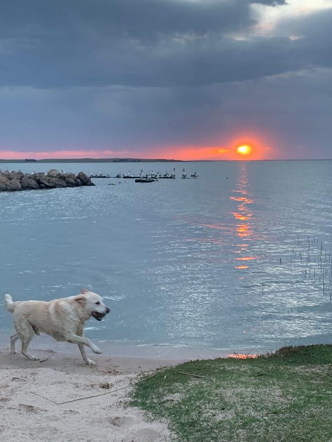 Coorong SA Phillip Island Accommodation