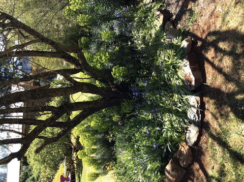 Kit Kat Cottage - Heritage Accommodation Burra - Phillip Island Accommodation 3