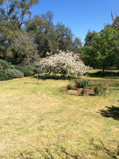 Kit Kat Cottage - Heritage Accommodation Burra - Phillip Island Accommodation 5