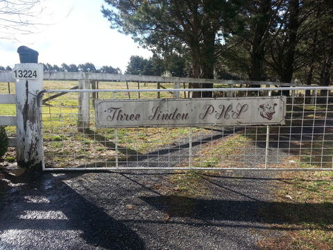 Three Linden - Phillip Island Accommodation 6