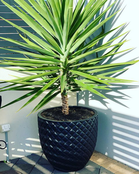 Seaview Sunset Holiday Apartments - Phillip Island Accommodation 4