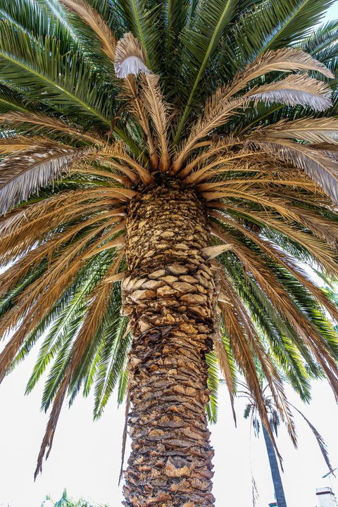 Rivergum Cottages Gawler Barossa Region - Phillip Island Accommodation 27