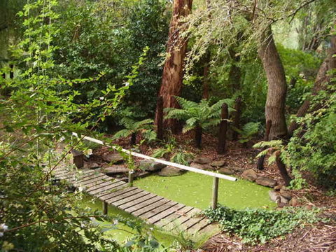 Hilltop - Phillip Island Accommodation 10