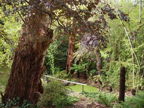Hilltop - Phillip Island Accommodation 13