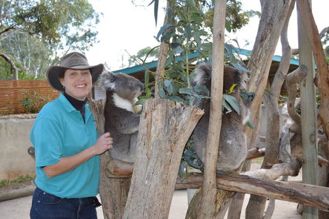 Lazy Days Cottage - Victor Harbor - Phillip Island Accommodation 1