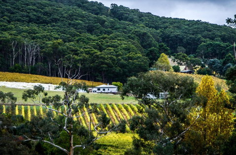 Esto House - Phillip Island Accommodation 4