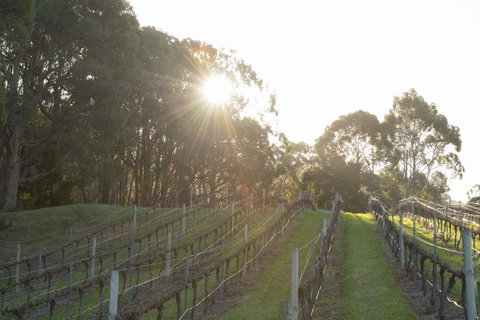 Esto House - Phillip Island Accommodation 2