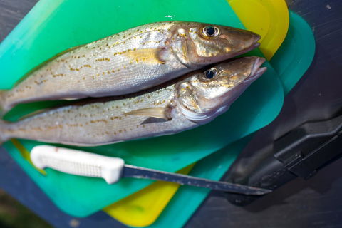 Modra\'s Apartments - Phillip Island Accommodation 17