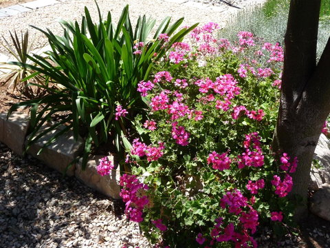 Country Bakehouse Accommodation - Phillip Island Accommodation 18