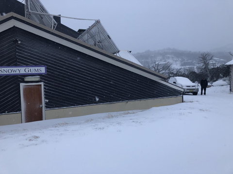 Snowy Gums Chalet - Phillip Island Accommodation 1