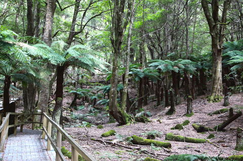 Wallace Lodge - PID-STRA-16871 - Phillip Island Accommodation 11