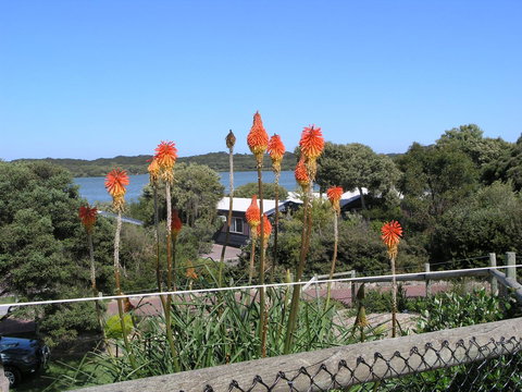 Lakeside Tourist Park - Phillip Island Accommodation 3