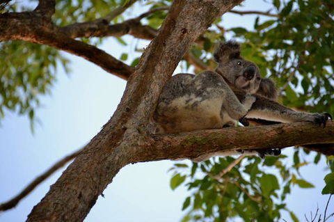 SummerHills Retreat Byron Bay - Phillip Island Accommodation 36