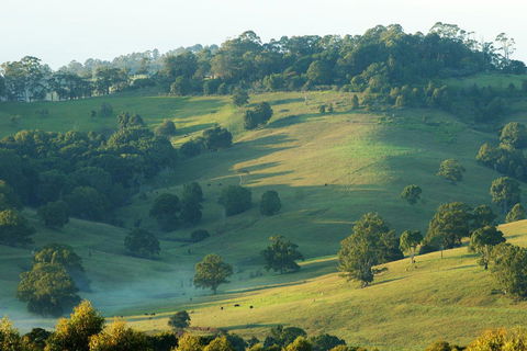 SummerHills Retreat Byron Bay - Phillip Island Accommodation 20