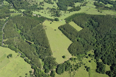 SummerHills Retreat Byron Bay - Phillip Island Accommodation 19