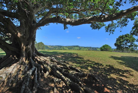 SummerHills Retreat Byron Bay - Phillip Island Accommodation 8