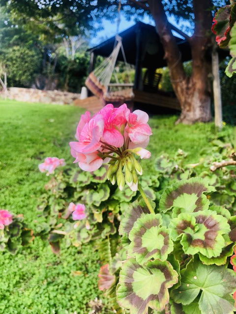 Stunning House With Beautiful Entertainment Area!! - Phillip Island Accommodation 17