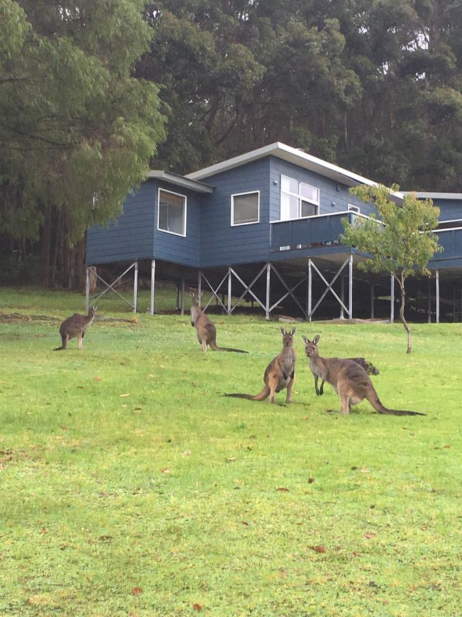  Phillip Island Accommodation
