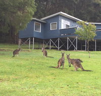 Blue House Denmark - Phillip Island Accommodation