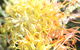 Riverview Tourist Park - thumb 37