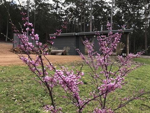 The Floating Forest - Phillip Island Accommodation 15