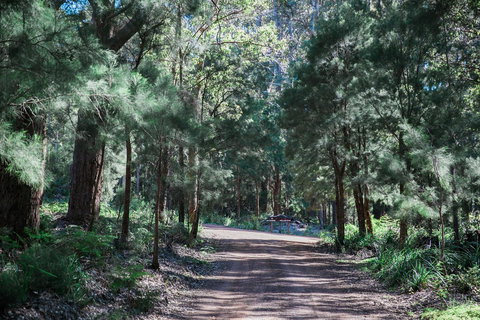 The Floating Forest - Phillip Island Accommodation 30