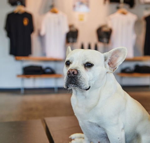 Nomads Byron Bay Backpackers - Phillip Island Accommodation 24