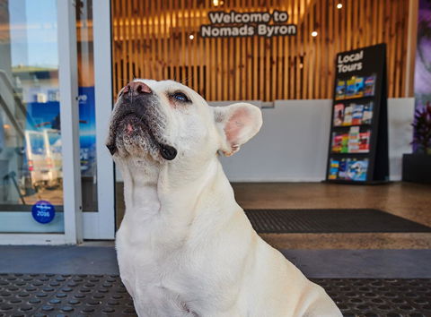 Nomads Byron Bay Backpackers - Phillip Island Accommodation 22