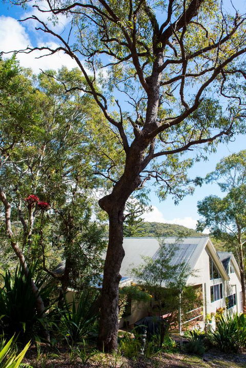 Nelson Bay Bed & Breakfast - Phillip Island Accommodation 42